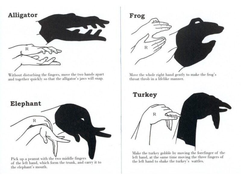 Hand Shadow book 2