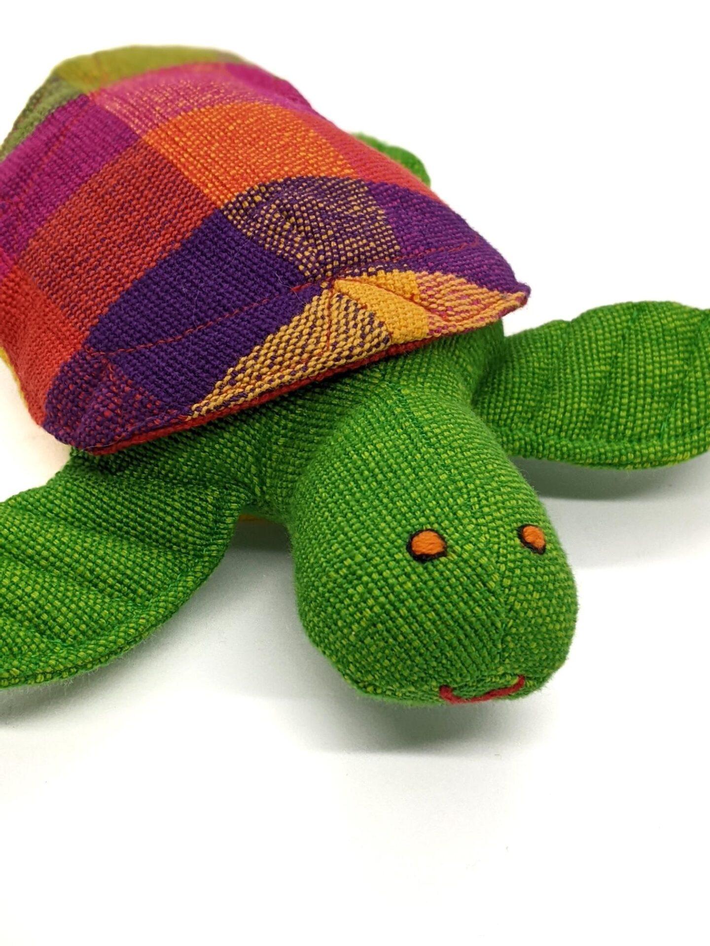 Myrtle the Turtle 2