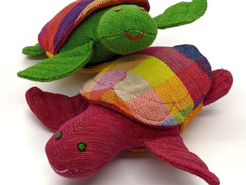 Myrtle the Turtle 4