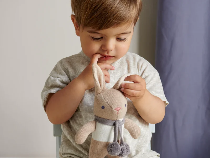 Baby Threads Taupe Bunny Gift Set Boy - Copy