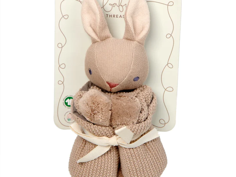 Baby Threads Bunny Organic Comfoter set 5