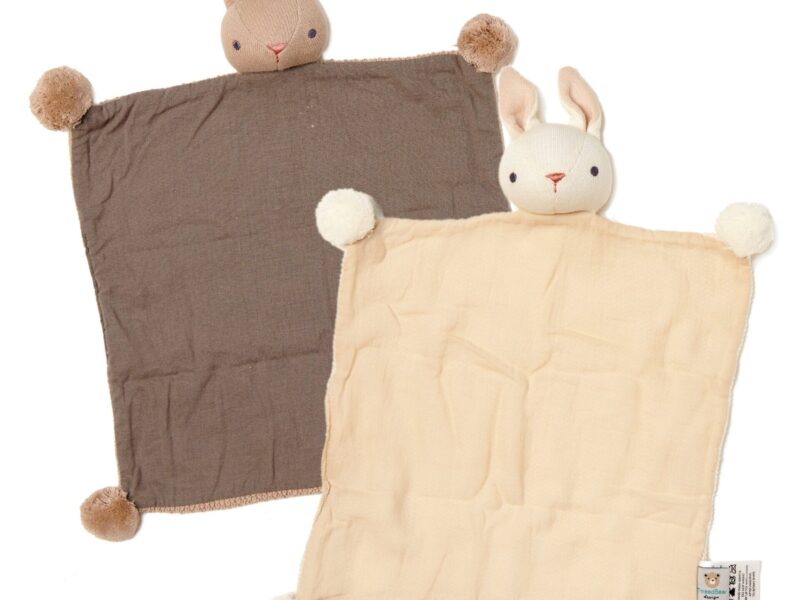 Baby Threads Bunny Organic Comfoter set