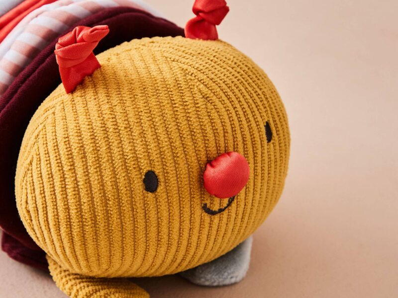 Caterpillar Baby Toy 3