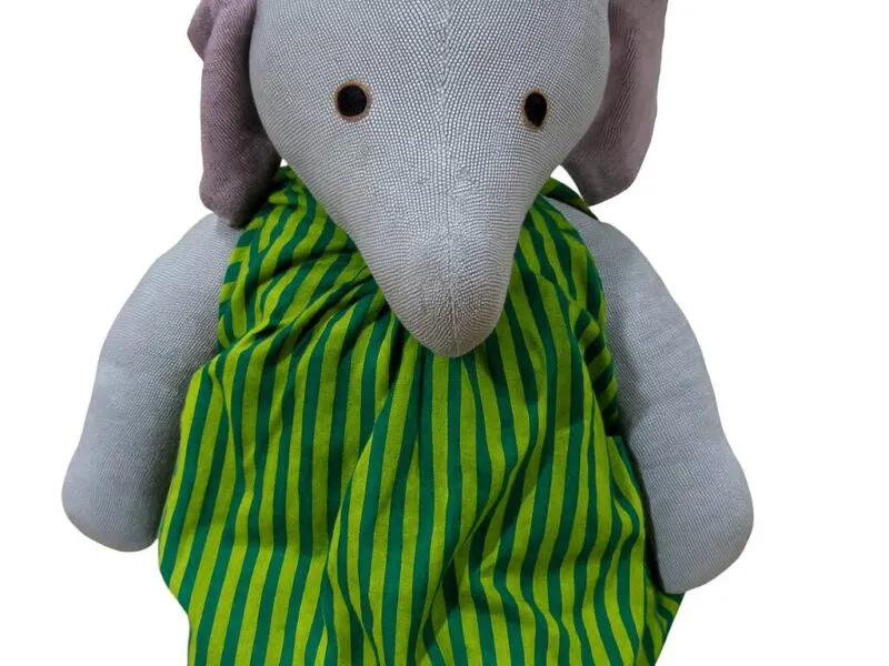 Barefoot large elephant in green dress