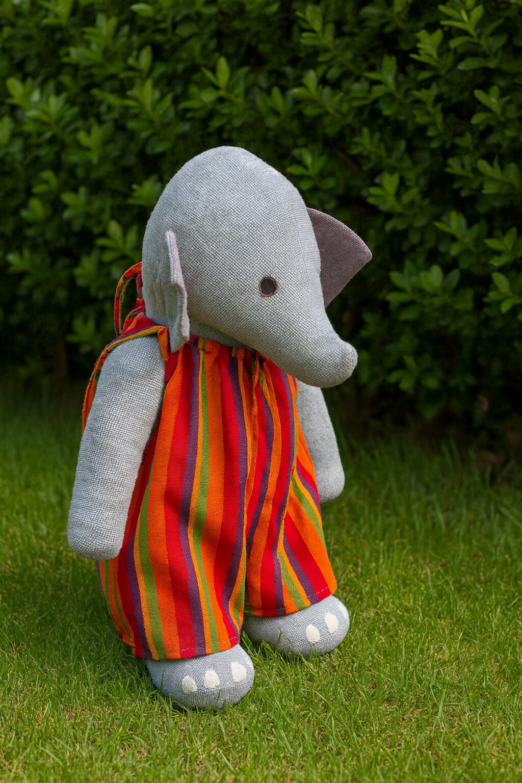 Elephant Red Stripe on grass